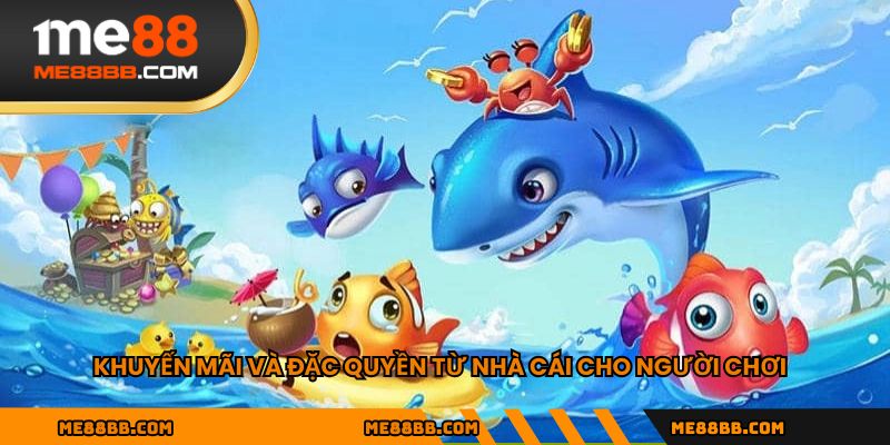 Khuyến mãi và đặc quyền từ nhà cái cho người chơi