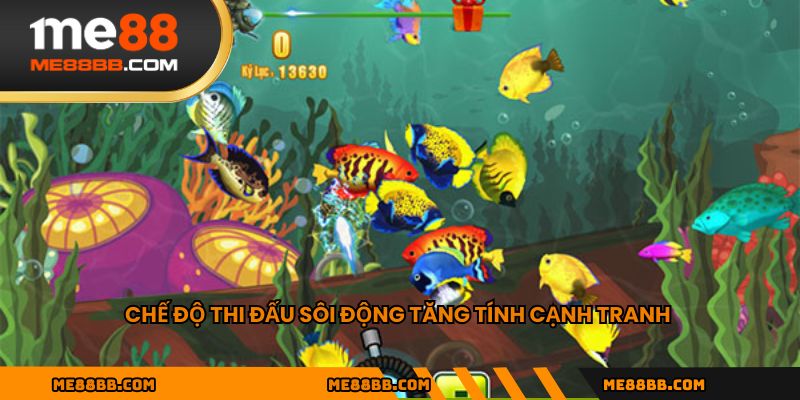 Chế độ thi đấu sôi động tăng tính cạnh tranh