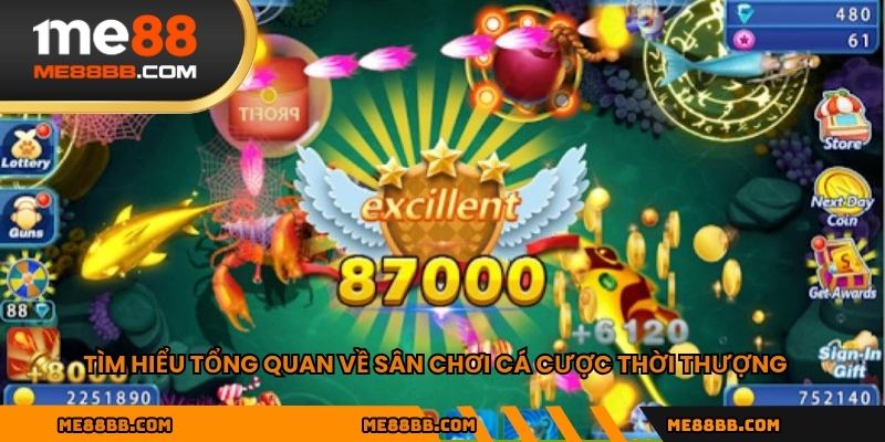 Tìm hiểu tổng quan về sân chơi cá cược thời thượng