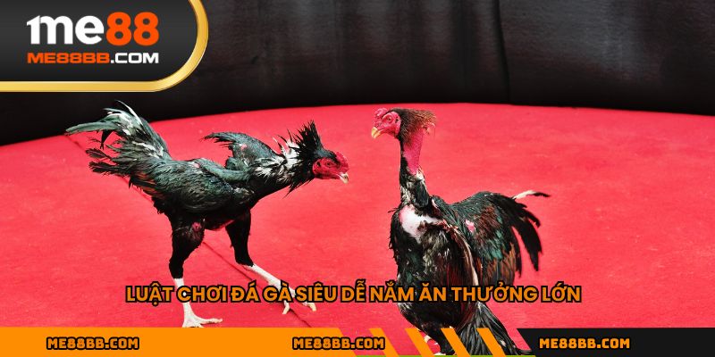 Luật chơi đá gà siêu dễ nắm ăn thưởng lớn