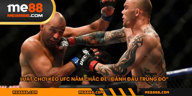 Luật chơi Kèo UFC nắm chắc để “đánh đâu trúng đó”