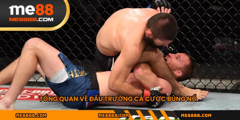 Tổng quan về đấu trường cá cược bùng nổ